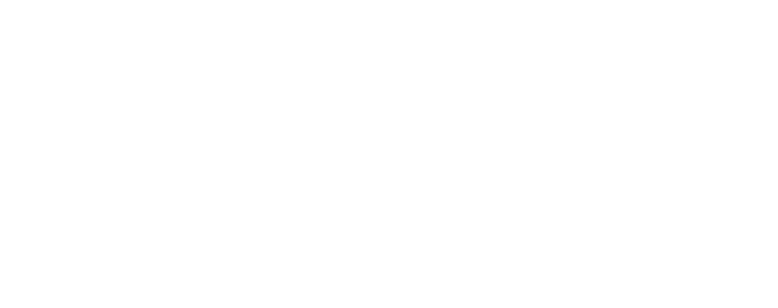 BDS Logo